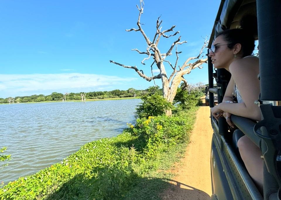 Yala National Park